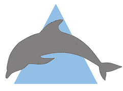 Grey Dolphin Game Development