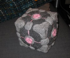 companion cube